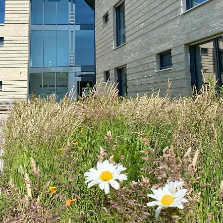 Haus Augustinus * مونستر