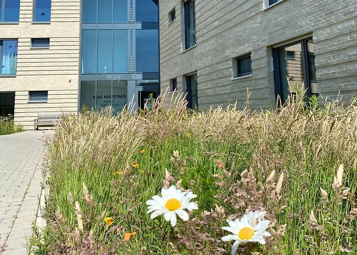 Haus Augustinus * 蒙斯特