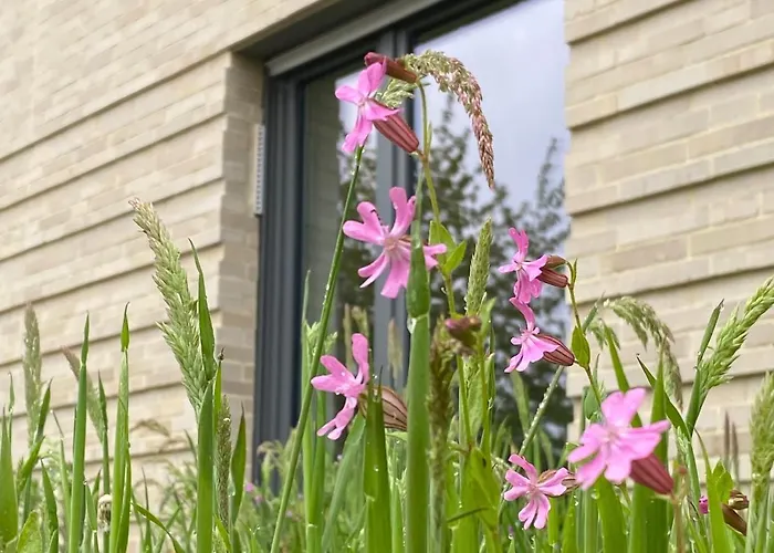 Haus Augustinus * 蒙斯特