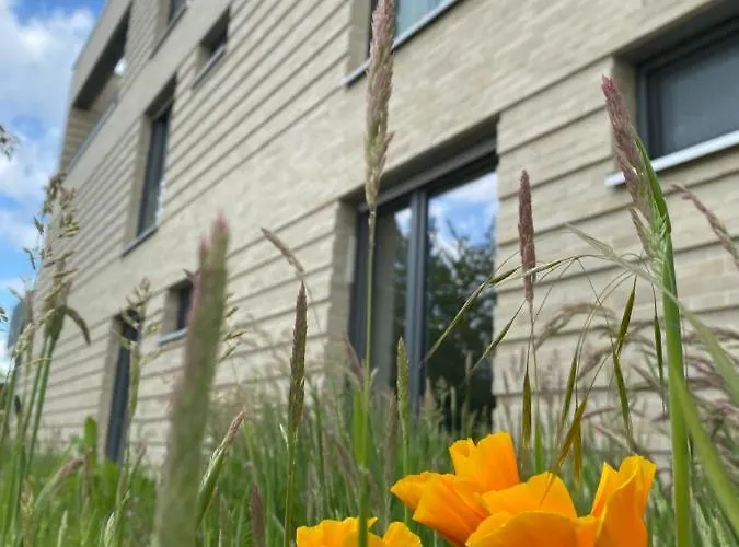 公寓 Haus Augustinus *